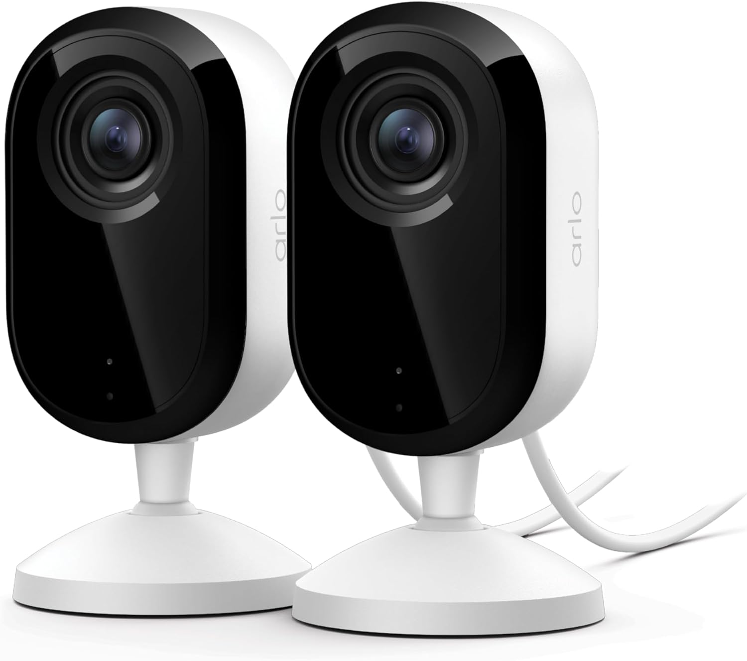How to Use Pet Cameras While Traveling