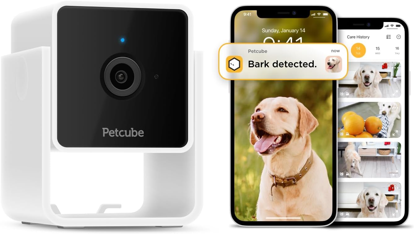 Petcube Cam and Care Coverage Subscription | Indoor Wi-Fi Pet and Security Camera with Phone App, Cats and Dogs Monitor wi...