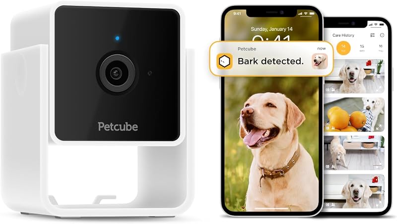 Petcube Play 2 laser safety for cats with photosensitive epi