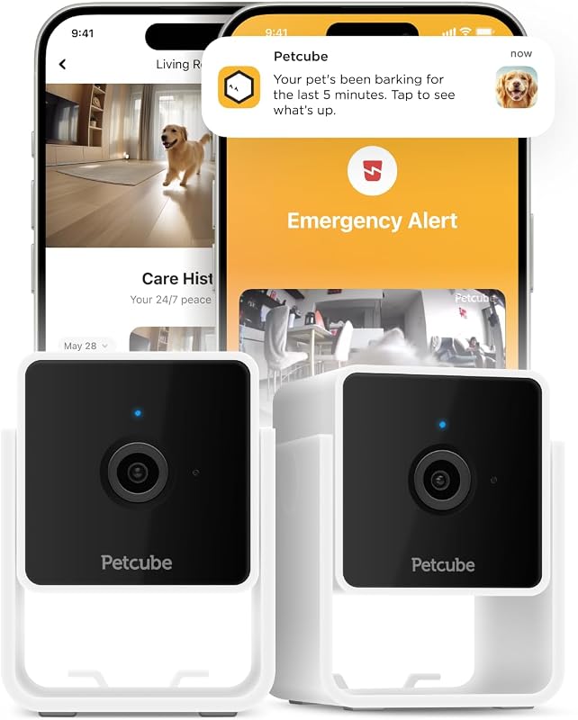 Best pet camera for monitoring aquariums and fish tank tempe
