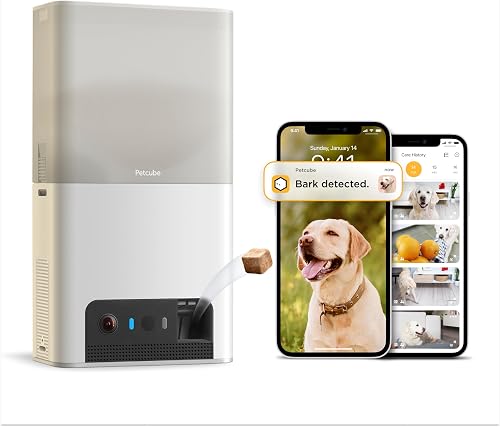 Petcube Bites 2 Lite + Extra Care Service with Smart Alerts [Paid in-A — Build quality and design details up close